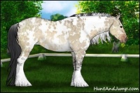 Horse Color:White Spotted Brown Ice Dun Rabicano 