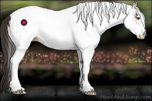 Horse Color:White Spotted Liver Chestnut 