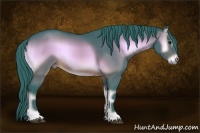 Horse Color:Watercolor Brown Onyx 