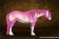 Horse Color:Watercolor Red Onyx