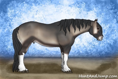 Horse Color:Blue Onyx 