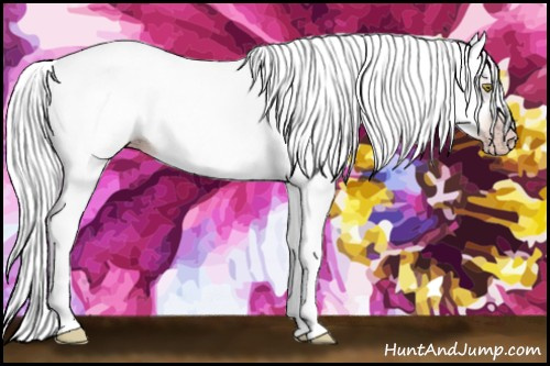 Horse Color:Gray Gold Champagne Tobiano 