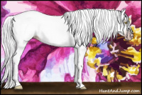 Horse Color:Gray Gold Champagne Tobiano