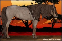 Horse Color:Liver Red Roan 