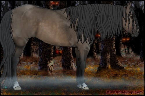 Horse Color:Brown Dun