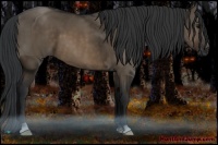 Horse Color:Brown Dun 