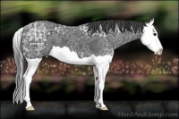 Horse Color:Smoky Black Ice Splash