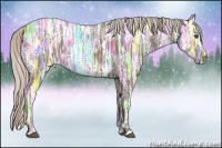 Horse Color:Silver Black Ice