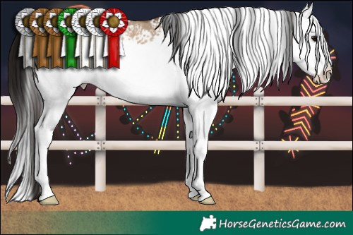 Horse Color:White Spotted Brown Dun Splash
