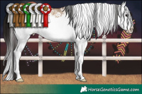 Horse Color:White Spotted Brown Dun Splash