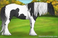 Horse Color:Black Tobiano 