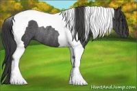 Horse Color:Smoky Black Tobiano Rabicano