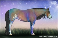 Horse Color:Bay Roan Sabino