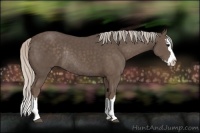 Horse Color:Silver Black Sabino Splash Rabicano 