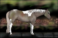 Horse Color:Silver Black Sabino Tobiano Rabicano