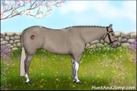 Horse Color:Silver Grullo Sabino Tobiano Rabicano 