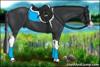 Horse Color:Black Splash Tobiano
