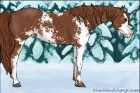 Horse Color:Chestnut Sabino