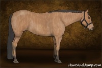 Horse Color:Bay Roan Splash Rabicano Brindle