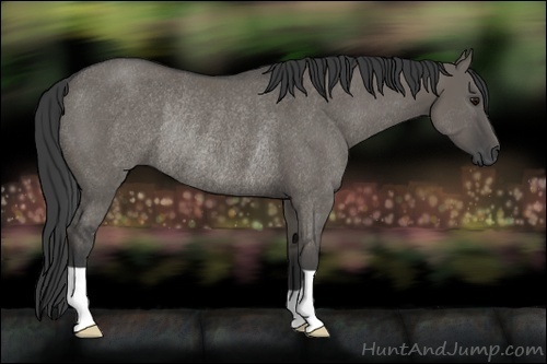 Horse Color:Smoky Grullo Rabicano 