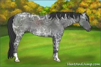 Horse Color:Black Ice 