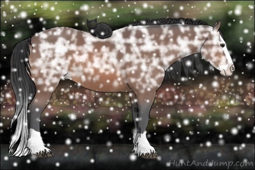 Horse Color:Bay Ice Splash 