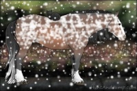 Horse Color:Bay Ice Splash 