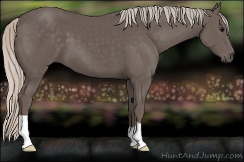 Horse Color:Silver Black 