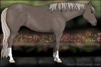 Horse Color:Silver Black