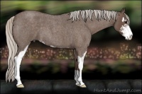 Horse Color:Silver Blue Roan Sabino 
