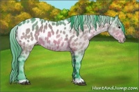 Horse Color:Watercolor Bay Appaloosa 