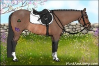 Horse Color:Bay Rabicano