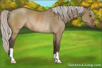 Horse Color:Silver Brown Dun Rabicano