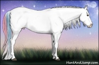 Horse Color:Watercolor White Spotted Buckskin Ice Dun Blanket 