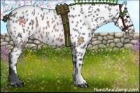 Horse Color:Brown Roan Near Leopard Rabicano