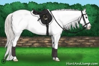 Horse Color:Silver Black Frame Appaloosa