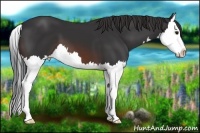 Horse Color:Brown Splash