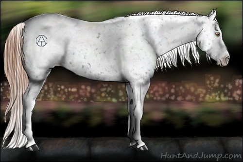 Horse Color:Liver Chestnut Snowflake Varnish