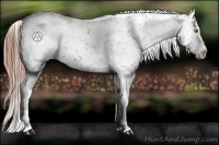 Horse Color:Liver Chestnut Snowflake Varnish