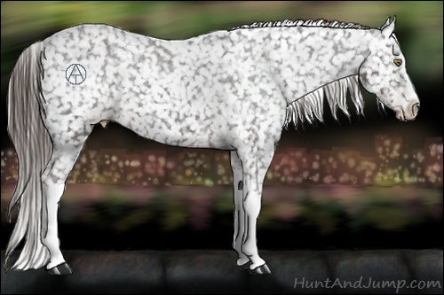 Horse Color:Liver Chestnut Snowflake Varnish