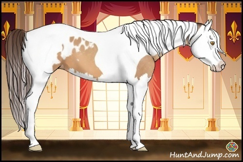 Horse Color:Amber Champagne Splash Tobiano Blanket