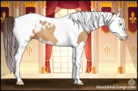 Horse Color:Amber Champagne Splash Tobiano Appaloosa 