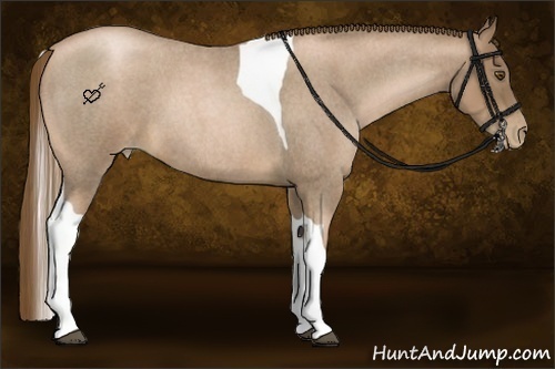 Horse Color:Liver Red Roan Pearl Tobiano