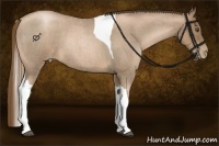 Horse Color:Liver Red Roan Pearl Tobiano 