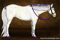 Horse Color:White Spotted Silver Buckskin Pearl Appaloosa Rabicano