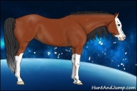 Horse Color:Bay Splash 