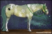 Horse Color:Watercolor White Spotted Bay Ice Appaloosa 
