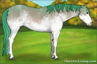 Horse Color:Watercolor White Spotted Bay Dun 