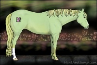 Horse Color:Watercolor Chestnut 