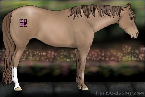 Horse Color:Black Pearl 